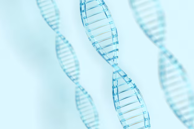 Dna