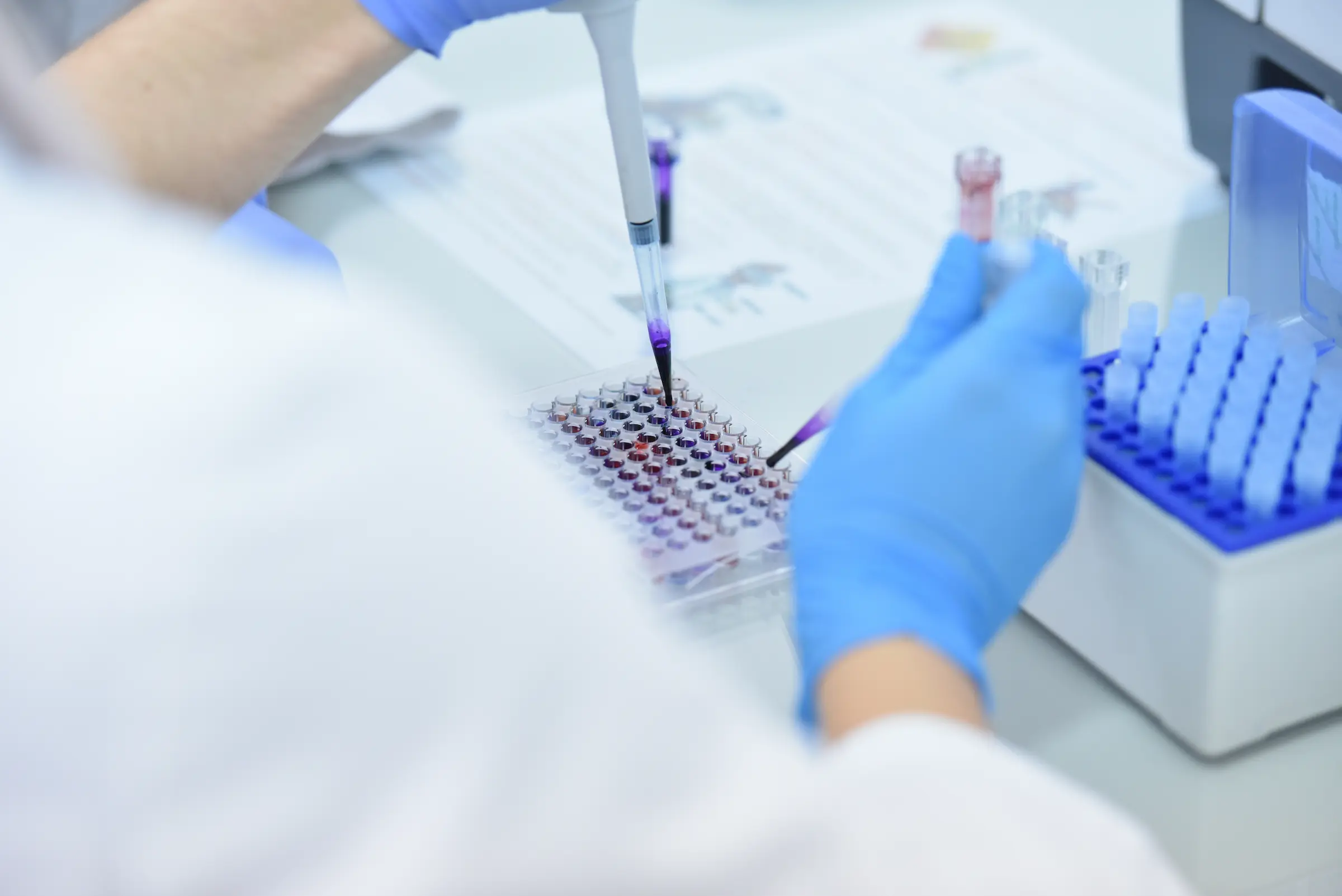 Shutterstock 1240301704